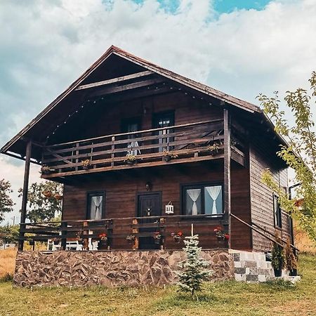 The Wooden Nest -Covasna Villa Buitenkant foto