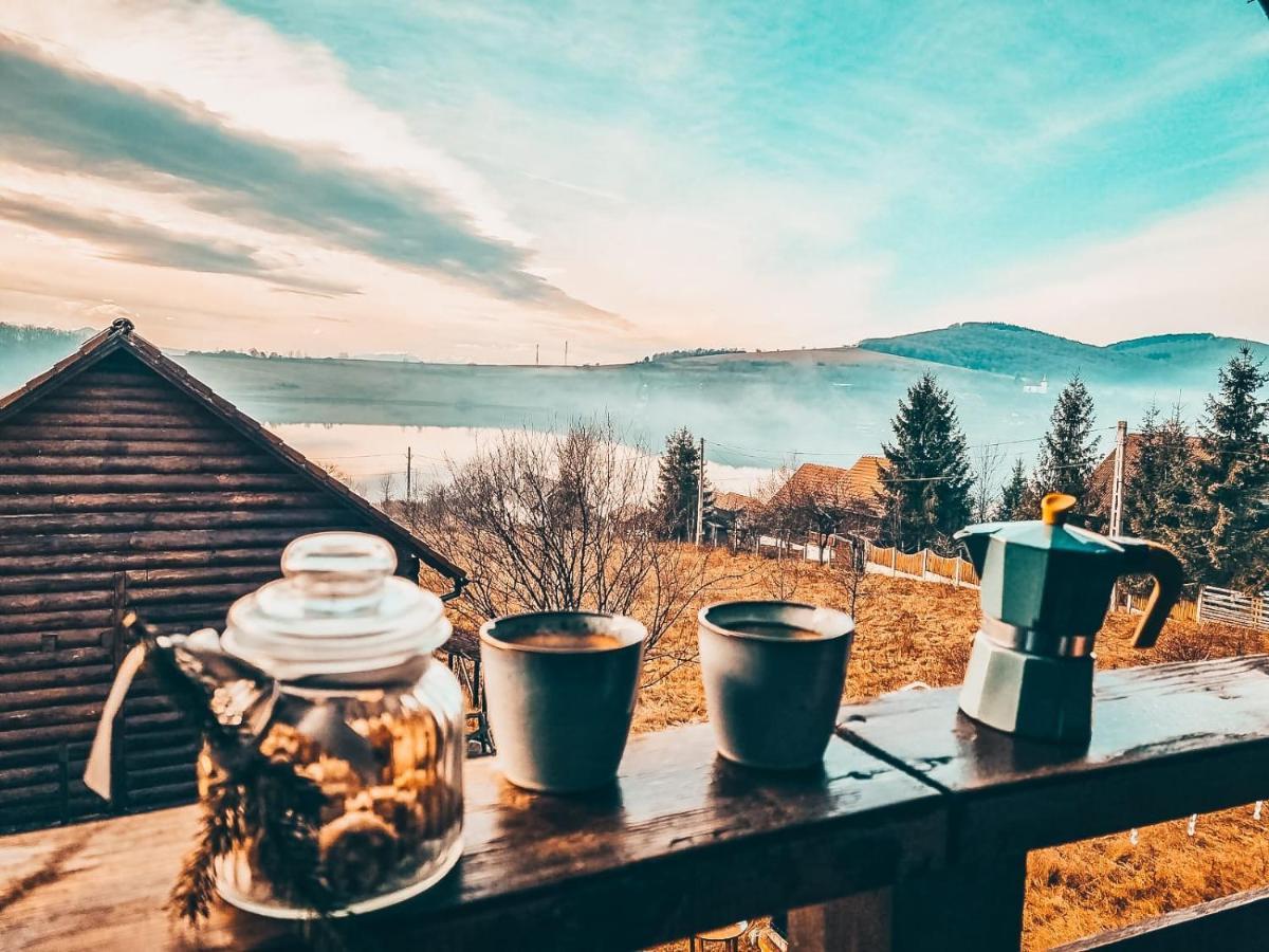 The Wooden Nest -Covasna Villa Buitenkant foto
