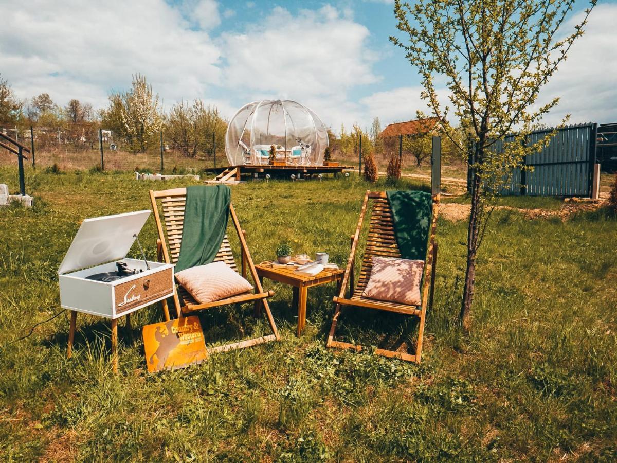 The Wooden Nest -Covasna Villa Buitenkant foto