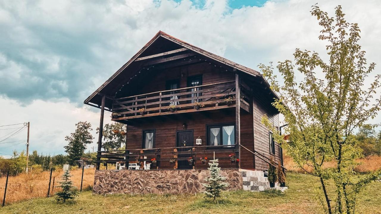 The Wooden Nest -Covasna Villa Buitenkant foto