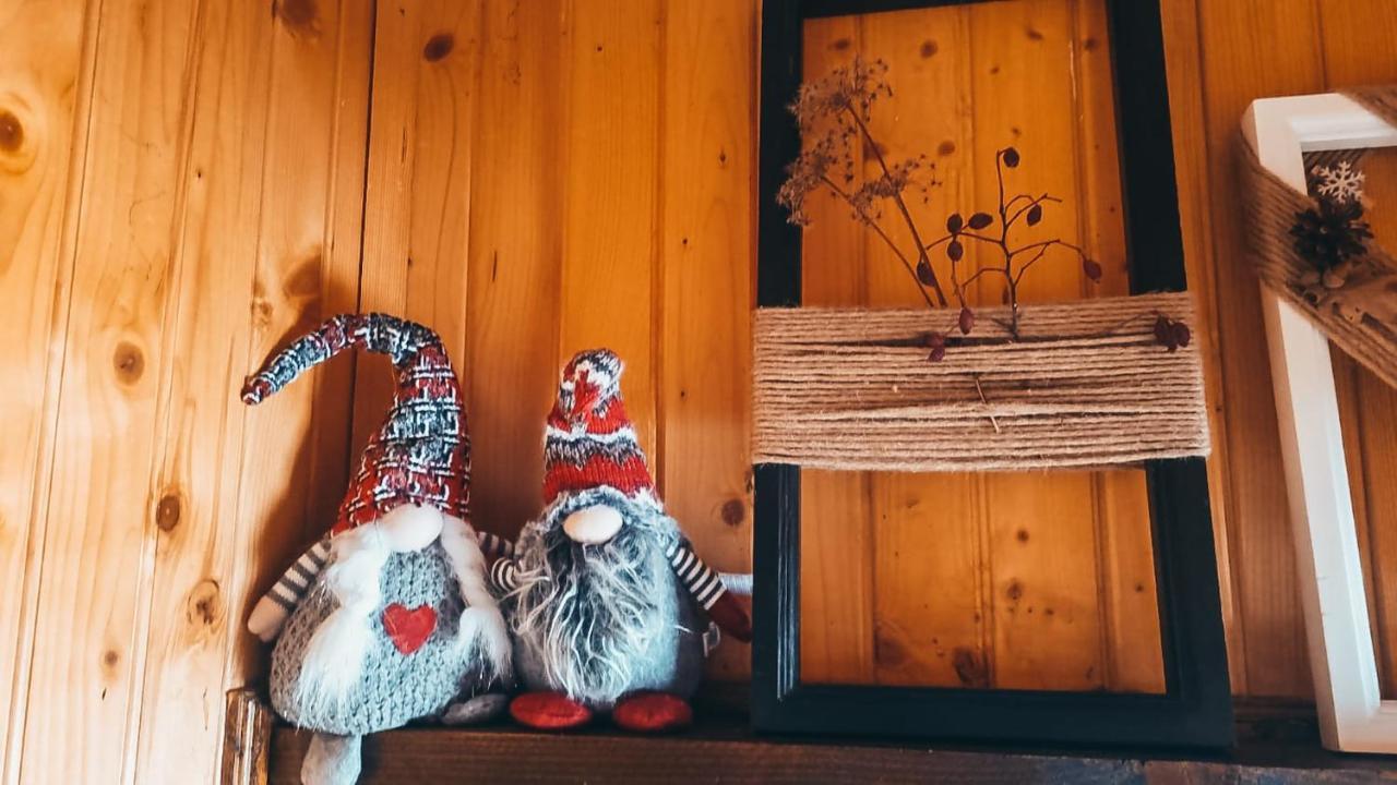 The Wooden Nest -Covasna Villa Buitenkant foto